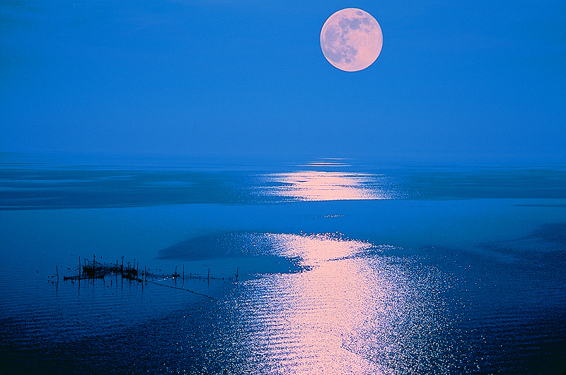 zur Übersicht Fischer-Requisiten 1