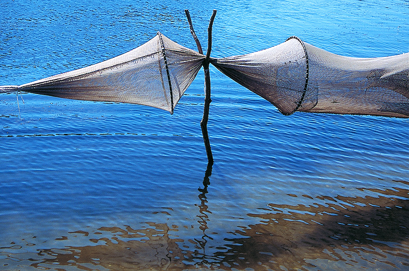 zur Übersicht Fischer-Requisiten 1