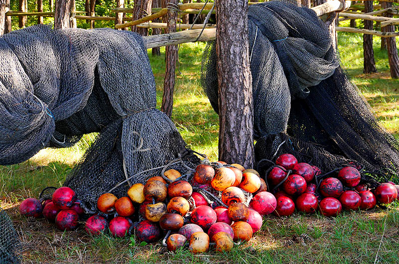 zur Übersicht Fischer-Requisiten 1
