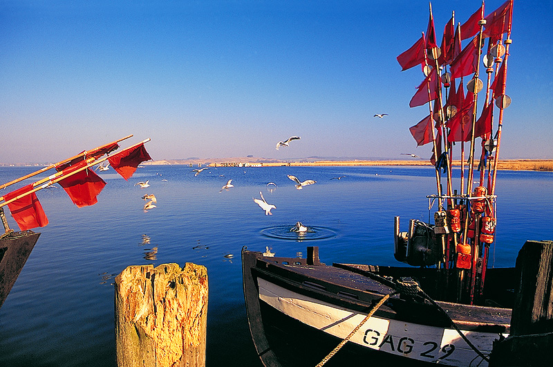 zur Übersicht Fischer-Requisiten 2