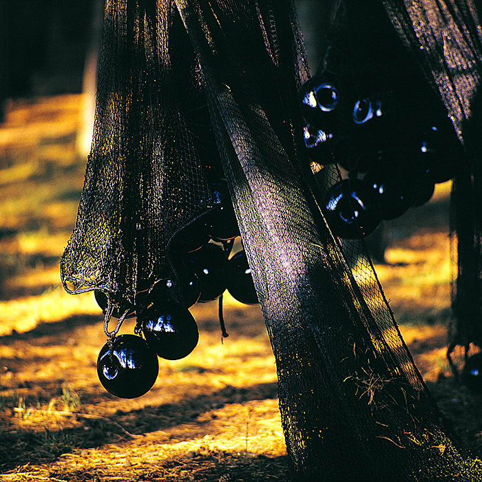 zur Übersicht Fischer-Requisiten 4