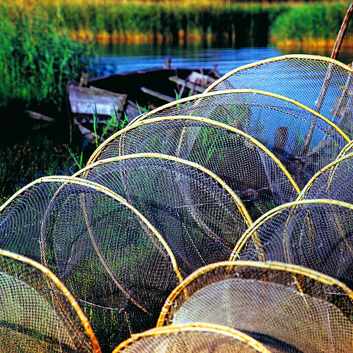 zur Übersicht Fischer-Requisiten 4