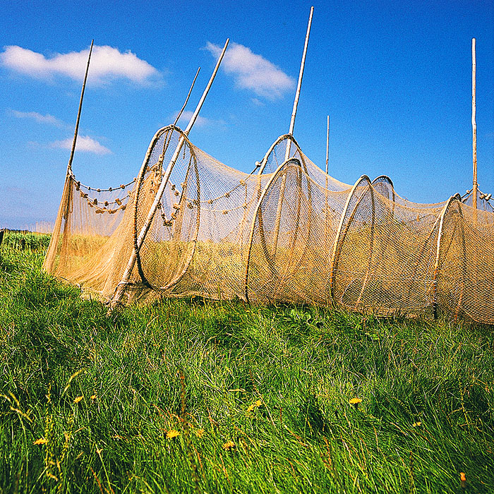 zur Übersicht Fischer-Requisiten 4