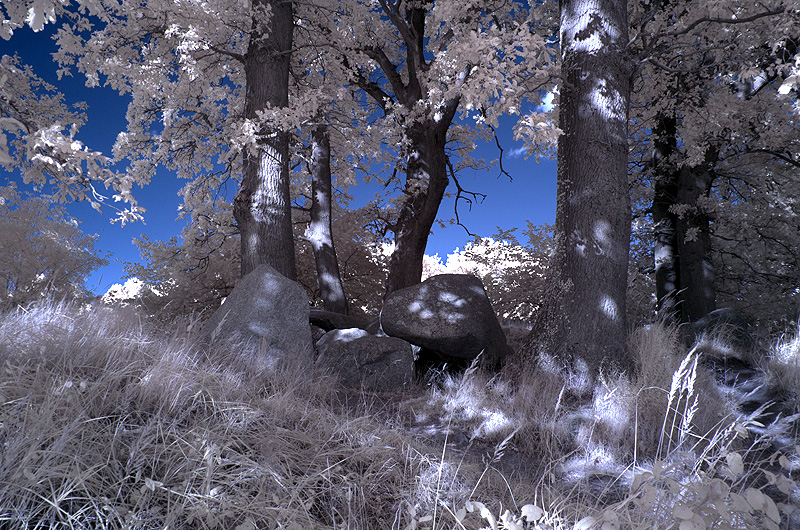 zur Übersicht Hünengräber 1