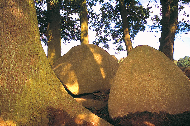 zur Übersicht Hünengräber 1