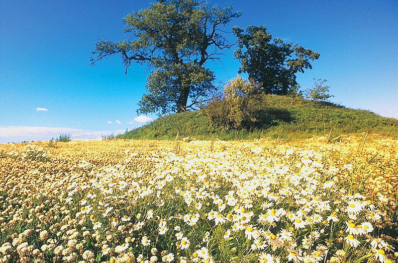 zur Übersicht Hünengräber 1