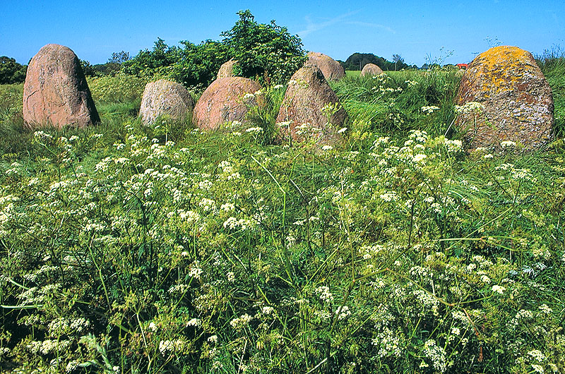 zur Übersicht Hünengräber 2