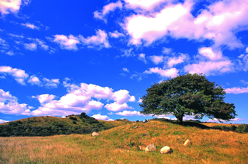zur Übersicht Hiddensee 1