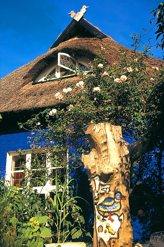 zur Übersicht Hiddensee 1