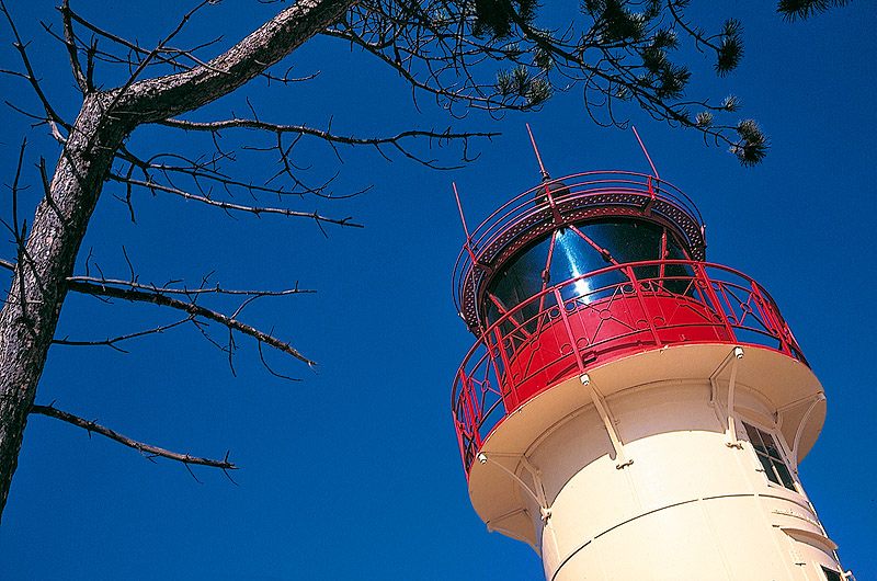 zur Übersicht Hiddensee 1