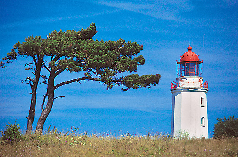 zur Übersicht Hiddensee 2
