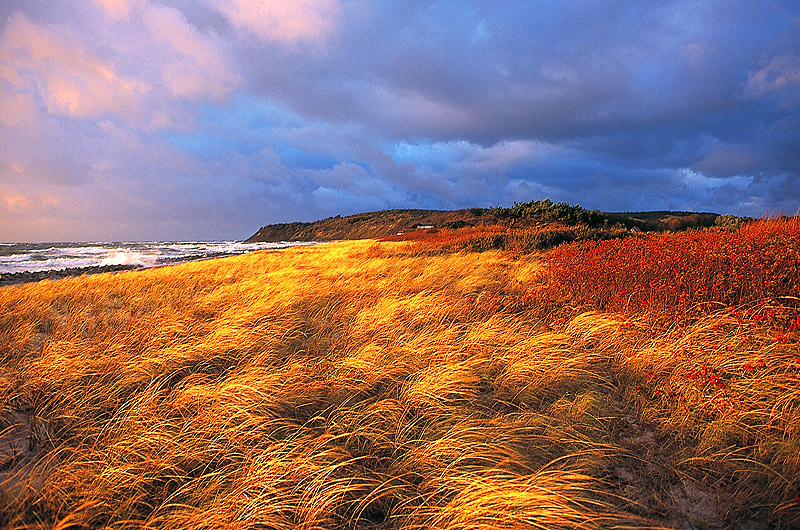 zur Übersicht Hiddensee 2