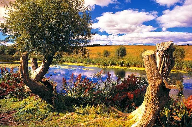 zur Übersicht Hiddensee 2