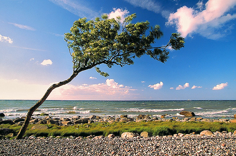 zur Übersicht Jasmund 1