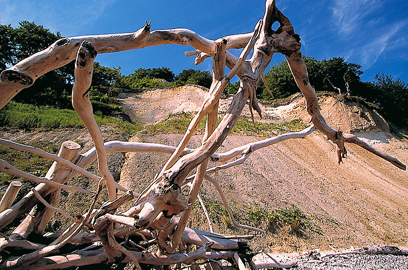 zur Übersicht Jasmund 1