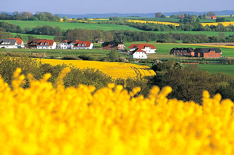 zur Übersicht Jasmund 2