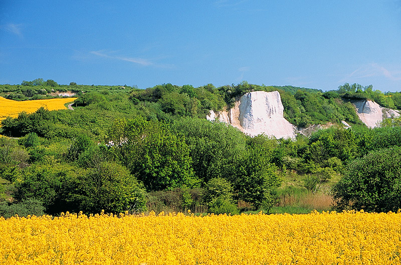 zur Übersicht Jasmund 3