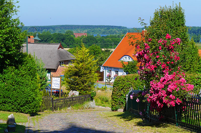 zur Übersicht Jasmund 3