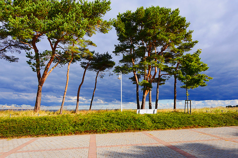 zur Übersicht Jasmund 3