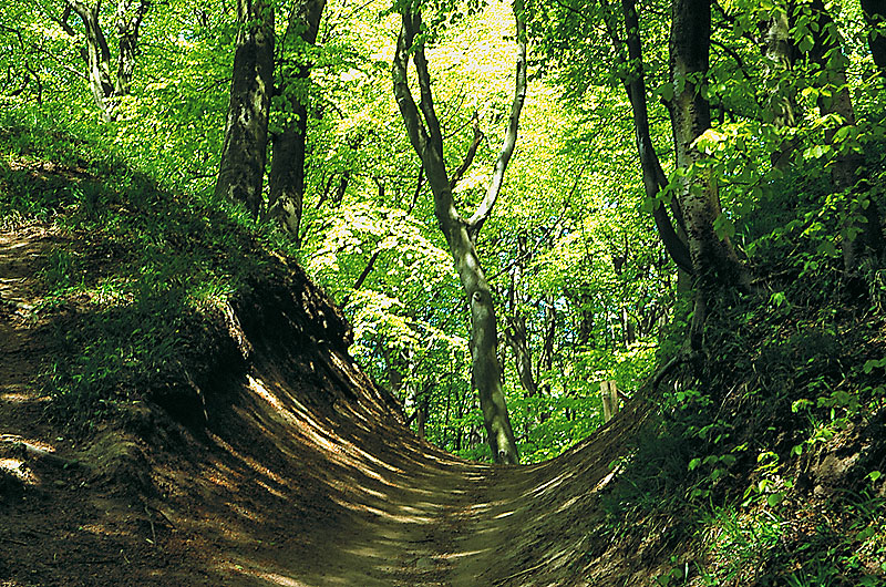 zur Übersicht Jasmund 4