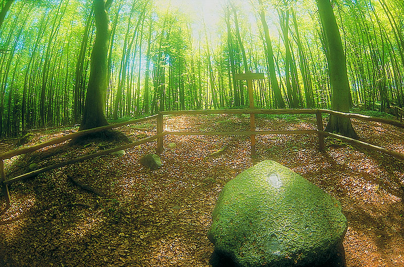 zur Übersicht Jasmund 5