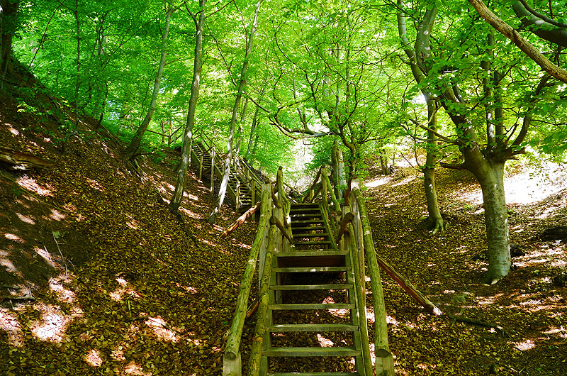 zur Übersicht Jasmund 5