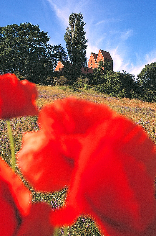 zur Übersicht Kirchen 6