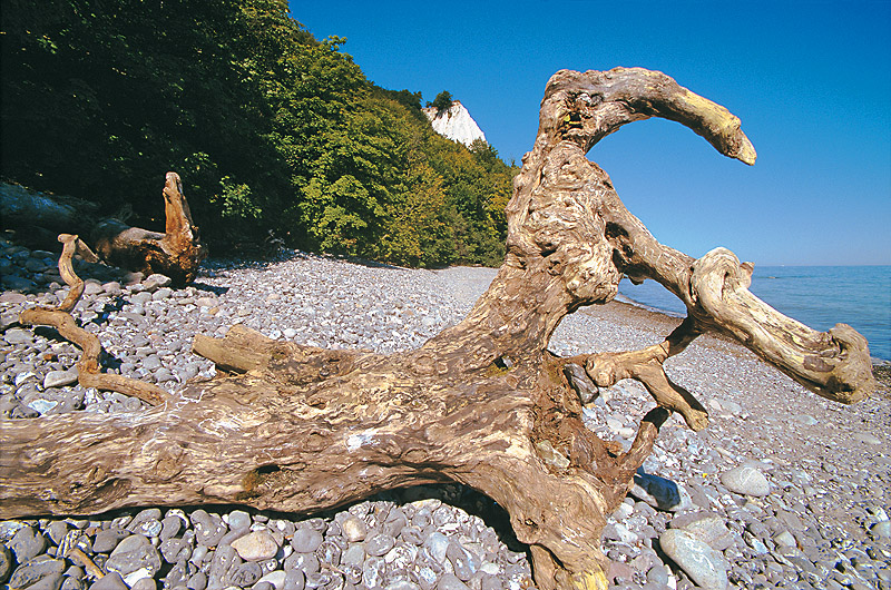 zur Übersicht Kreideküste 3