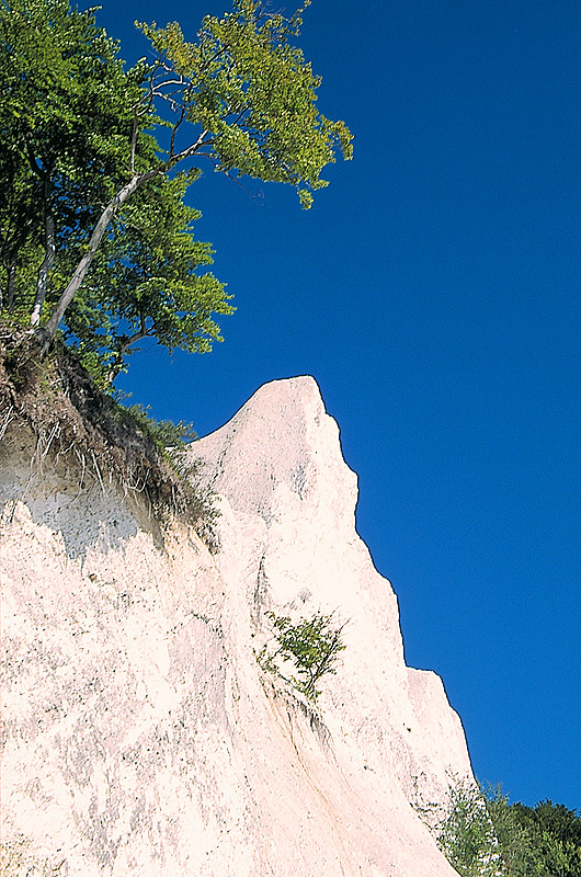 zur Übersicht Kreideküste 5