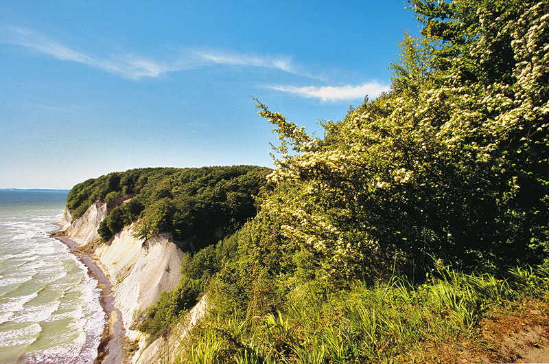 zur Übersicht Kreideküste 7