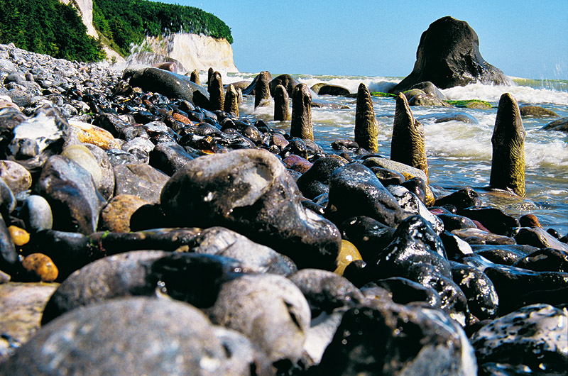 zur Übersicht Kreideküste 8