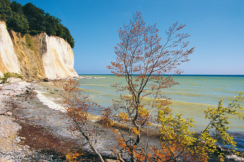 zur Übersicht Kreideküste 8