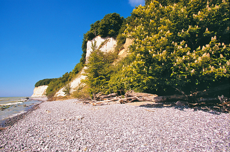 zur Übersicht Kreideküste 8