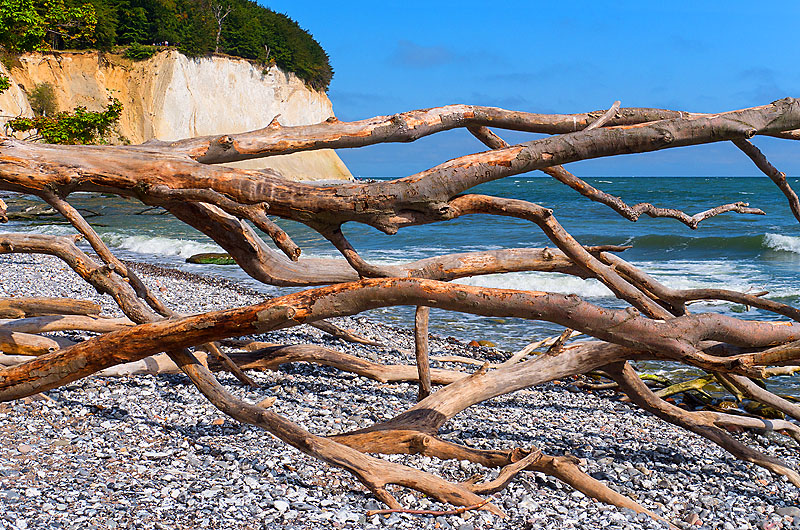zur Übersicht Kreideküste 10