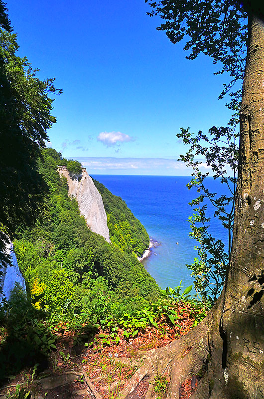 zur Übersicht Kreideküste 11