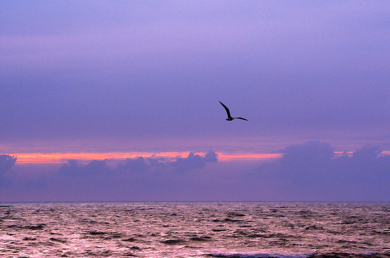 zur Übersicht Meer 2