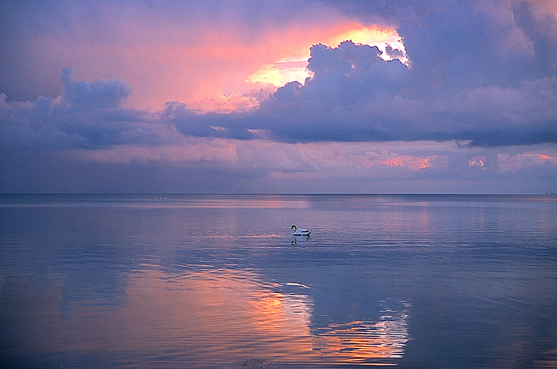 zur Übersicht Meer 2