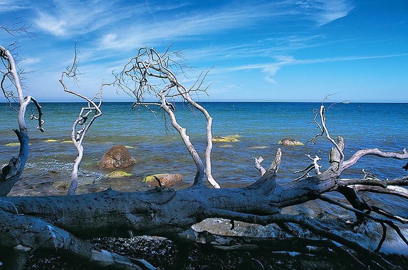 zur Übersicht Meer 2