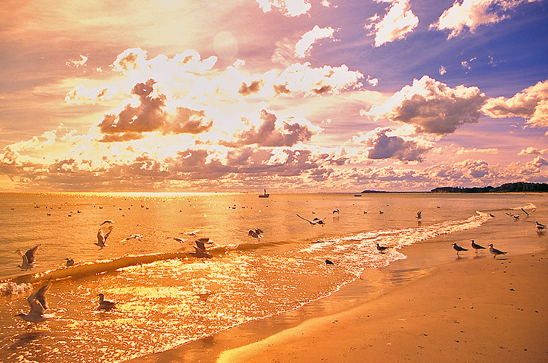 zur Übersicht Meer 3