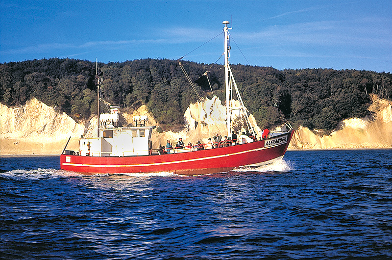 zur Übersicht Menschen 1