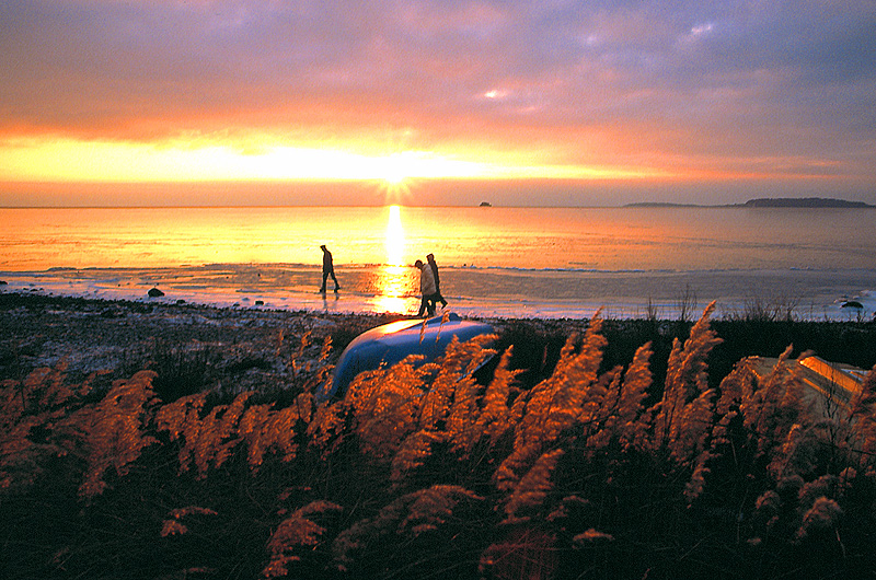 zur Übersicht Menschen 2