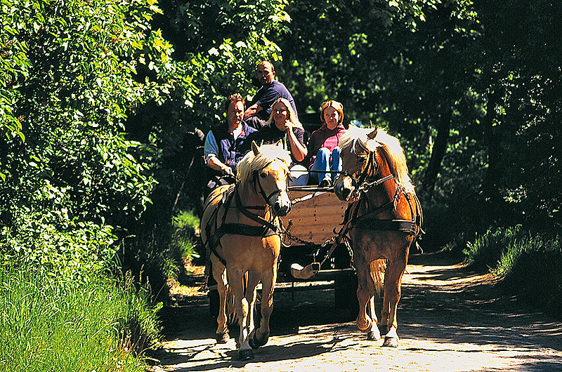 zur Übersicht Menschen 3