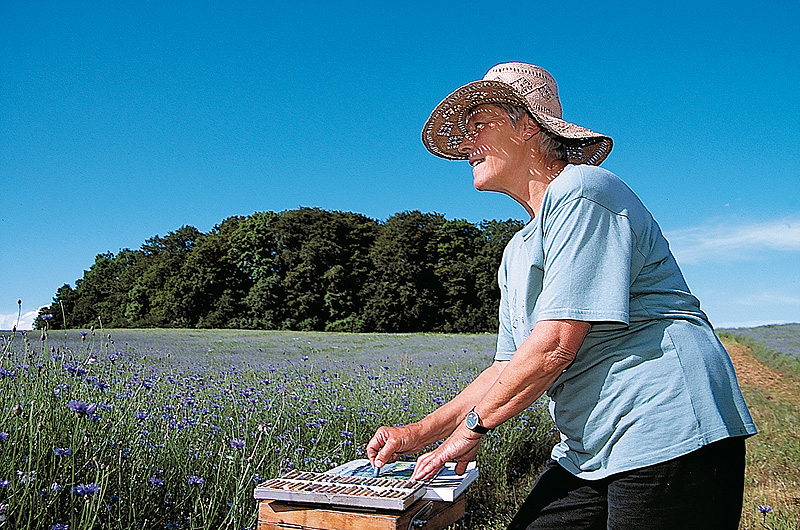 zur Übersicht Menschen 3