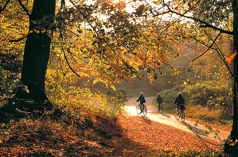 zur Übersicht Menschen 3