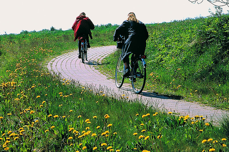 zur Übersicht Menschen 3