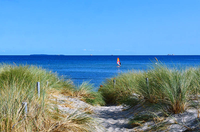 zur Übersicht Menschen 4