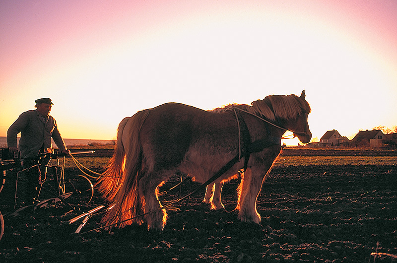 zur Übersicht Menschen 5