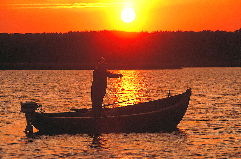 zur Übersicht Menschen 5