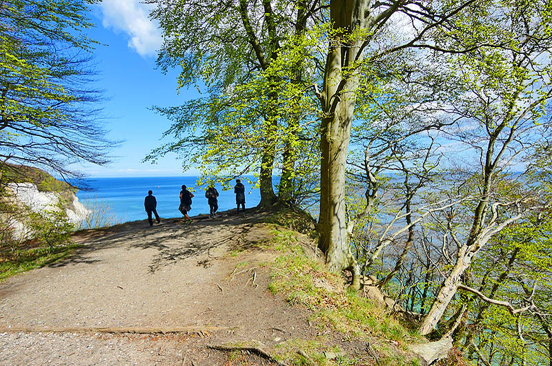 zur Übersicht Menschen 8