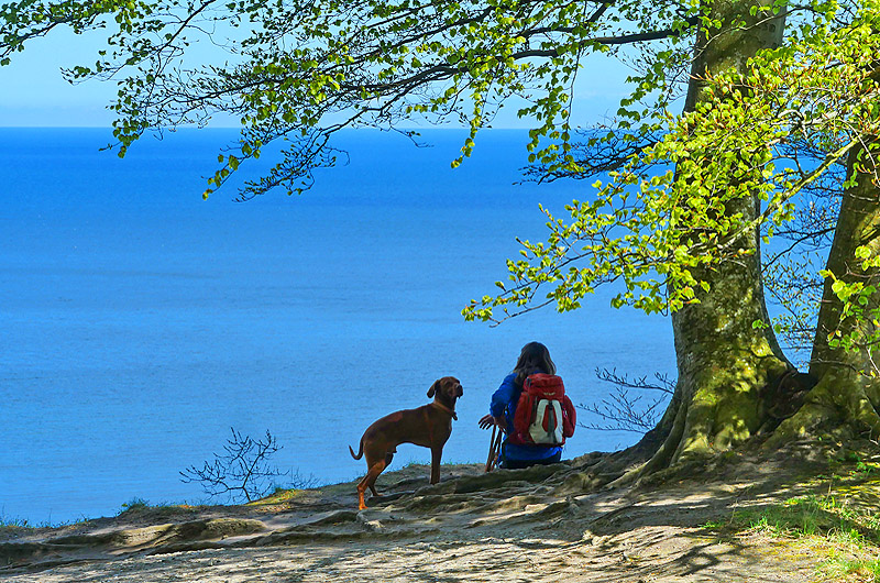 zur Übersicht Menschen 8
